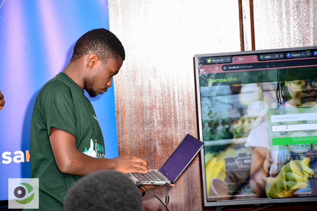 Digital Marketing & Social Media Management